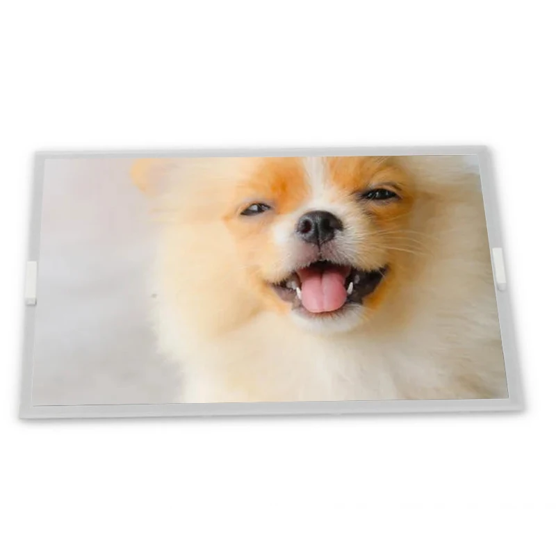 

G170J1-LE1 17" inch 1920*1200 LVDS Interface TFT-LCD Screen with HDMI VGA Board,LVDS Cable,LED Cable Zhiyan supply