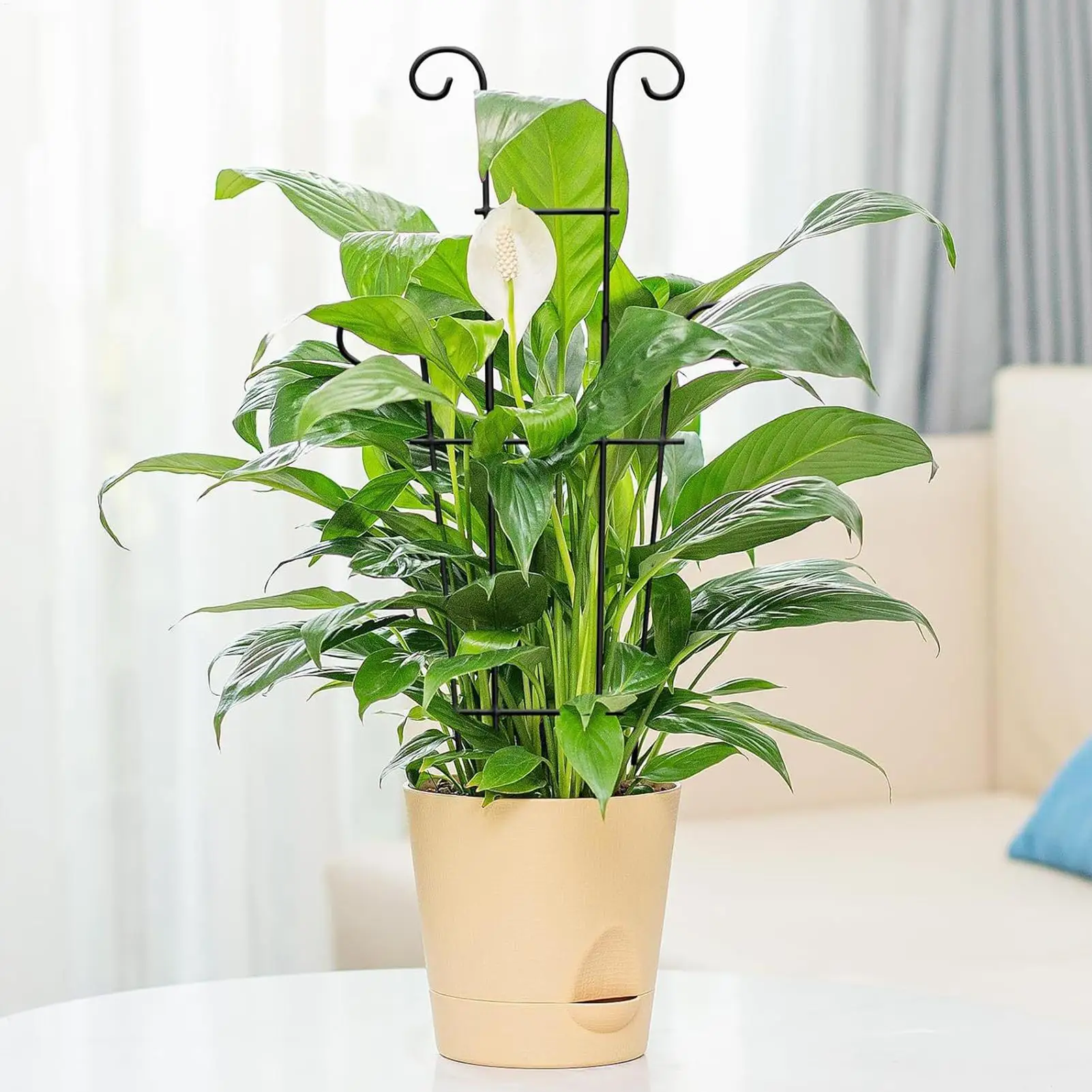 Plant Trellis For Pots 23.62 Inch Iron Heavy Duty Stackable Plant Trellis Outdoor For Jasmine Honeysuckle Peas Beans Flower Vine