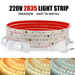 Regulável 220V LED Strip Light 2835 à prova d'água para sala de alto brilho 120LEDs/m Fita LED adesiva Fita flexível para jardim