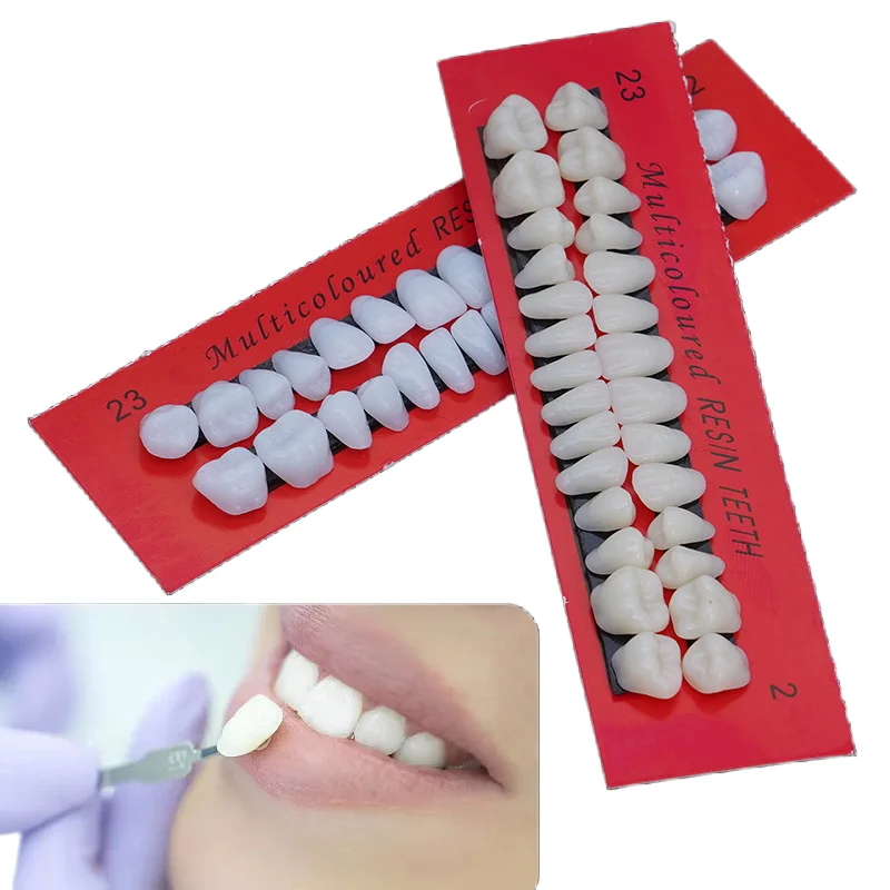 

28 шт., модель зубов из смолы, зубная модель, полный набор для обучения стоматологической лаборатории, студенческая практика, экзамена и образование