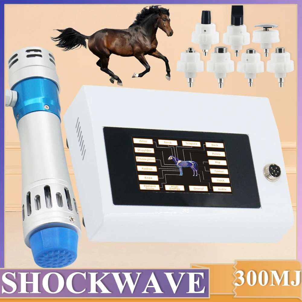 

Physiotherapy Shock Wave Machine For Horse Racing To Relieve Joint Pain Treat Tendon Injury Relaxation 300MJ Shockwave Massager