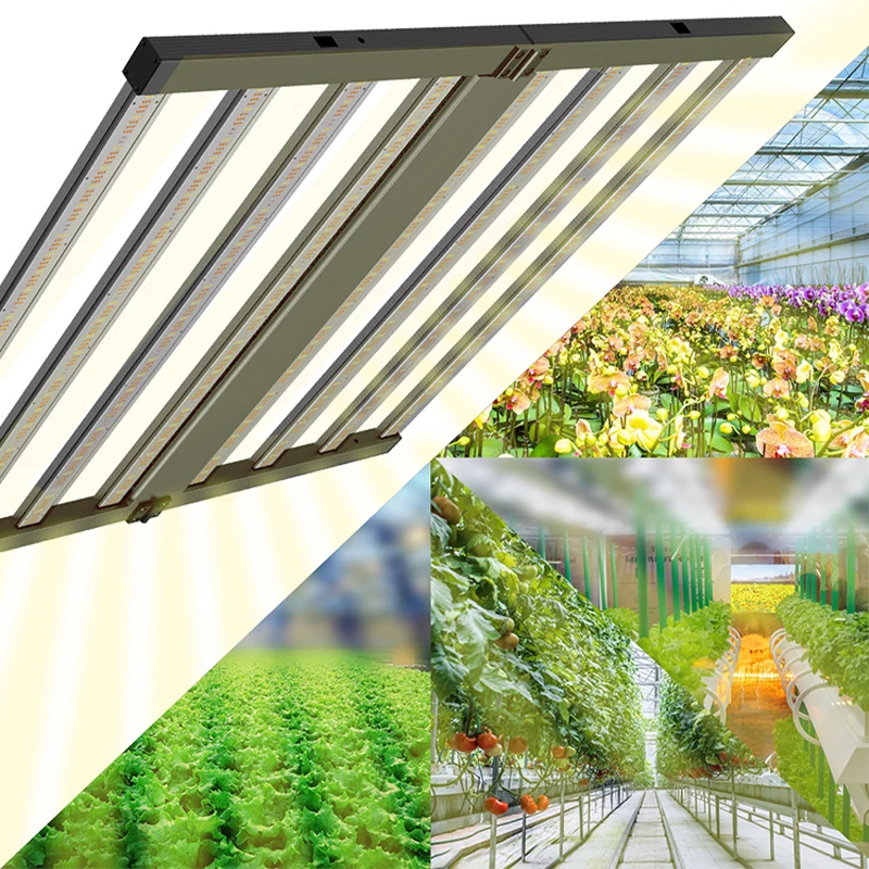 SLT Full Spectrum Grow Light 720W Lm301H Led Indoor Medical Plant Grow Light