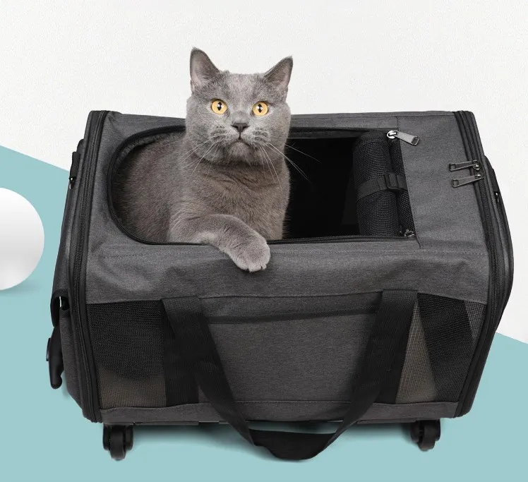 애완 동물 고양이 캐리어 롤링 강아지 트롤리 롤링 항공사 승인 여행 바퀴 수하물 가방