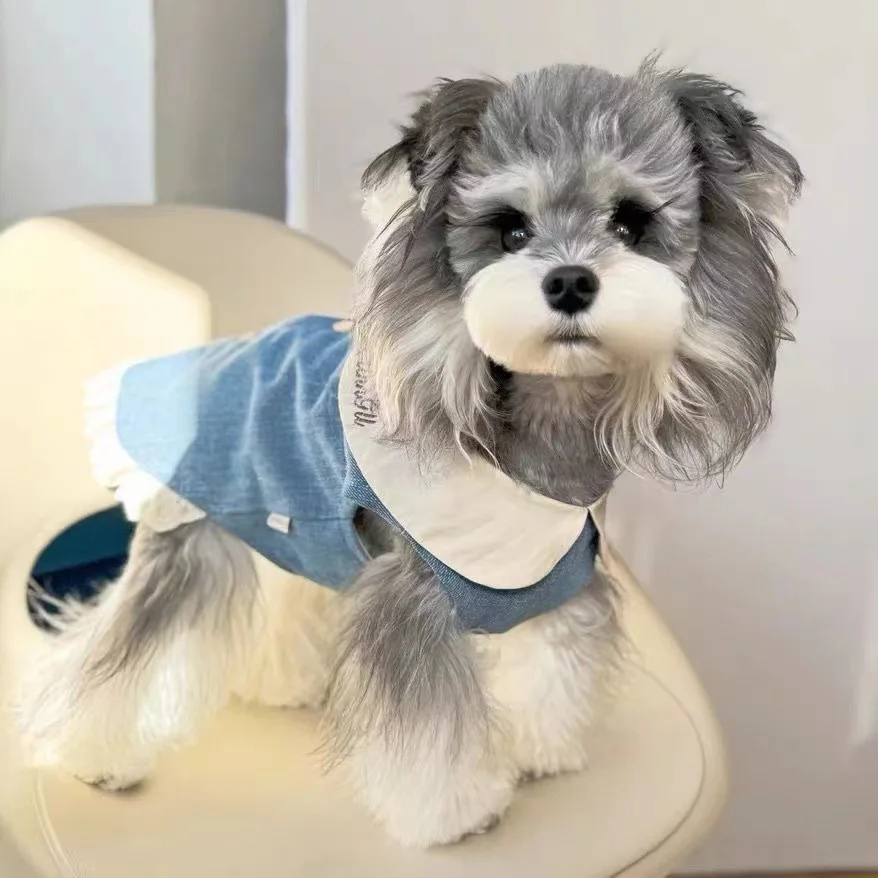 Pet Cat Dog Spring/Summer Denim Flip Collar Embroidered Lace Skirt Dog Pet Clothing Maltese Puppy Clothes Dog Vest