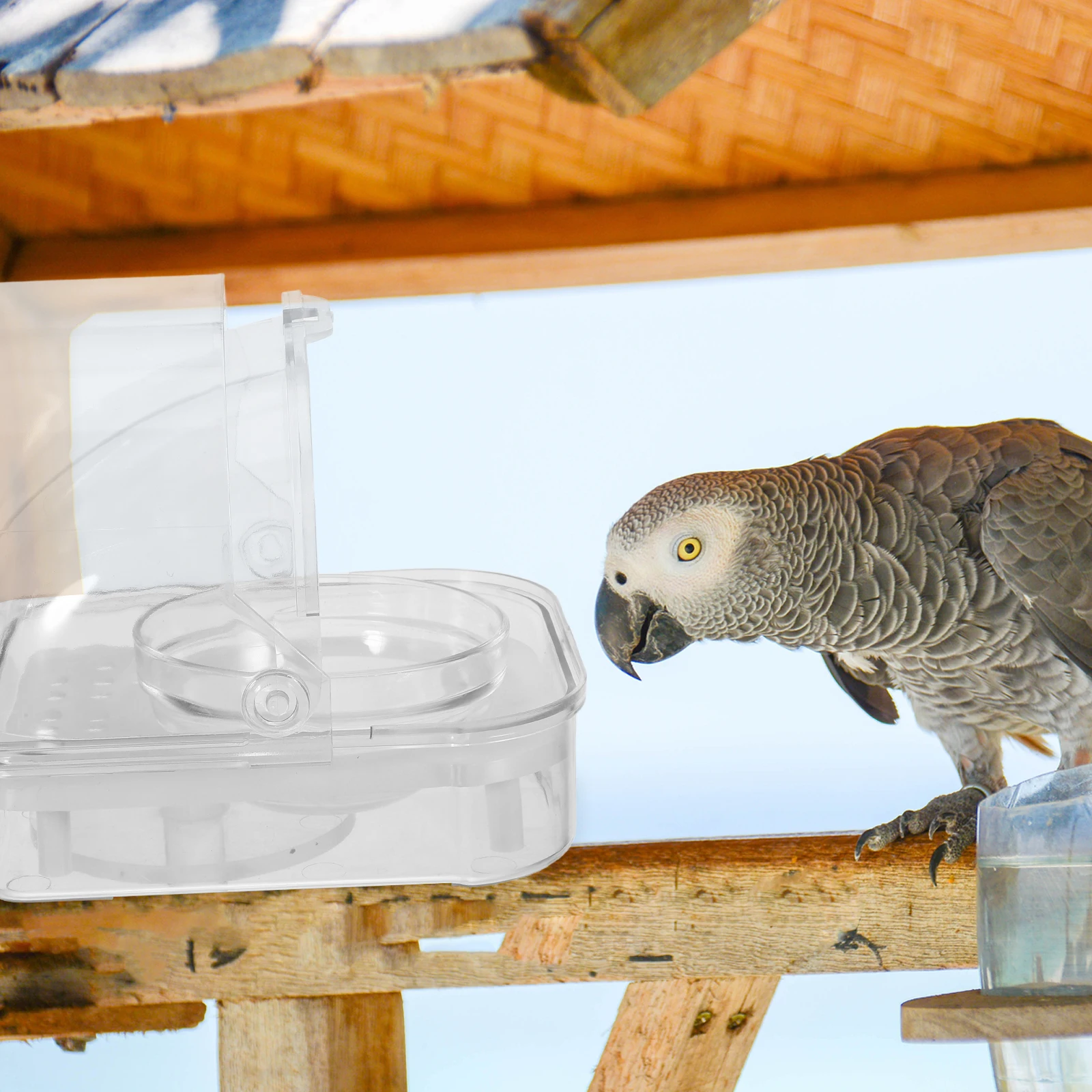 

Bird Feeder Cage Mounted Drinking Fountain Clear Hanging Parrot Water Dispenser Abs Automatic Food Bowl