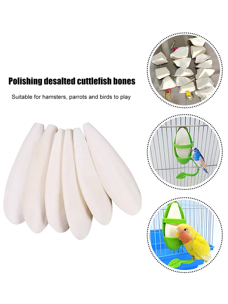 Cuttlebone الببغاء مضغ اللعب الببغاء الطبيعي الكالسيوم المكملات الببغاء لعبة مضغة للببغاوات كوكاتيل الببغاء الببغاء