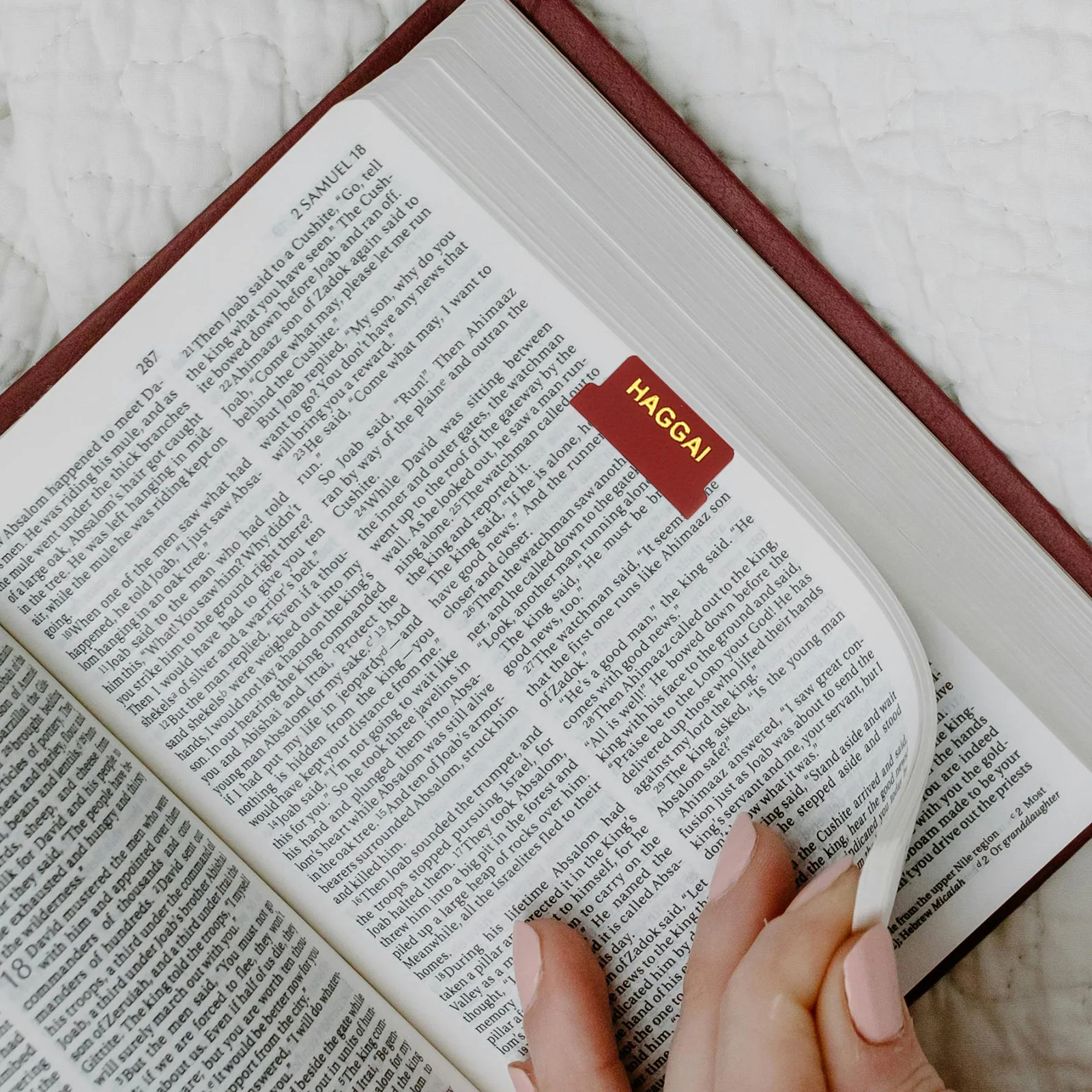 

Bible Labels 66 Index Tabs 14 Blank Pages Study Supplies Material Comfortable Texture Suitable All Ages Notebook