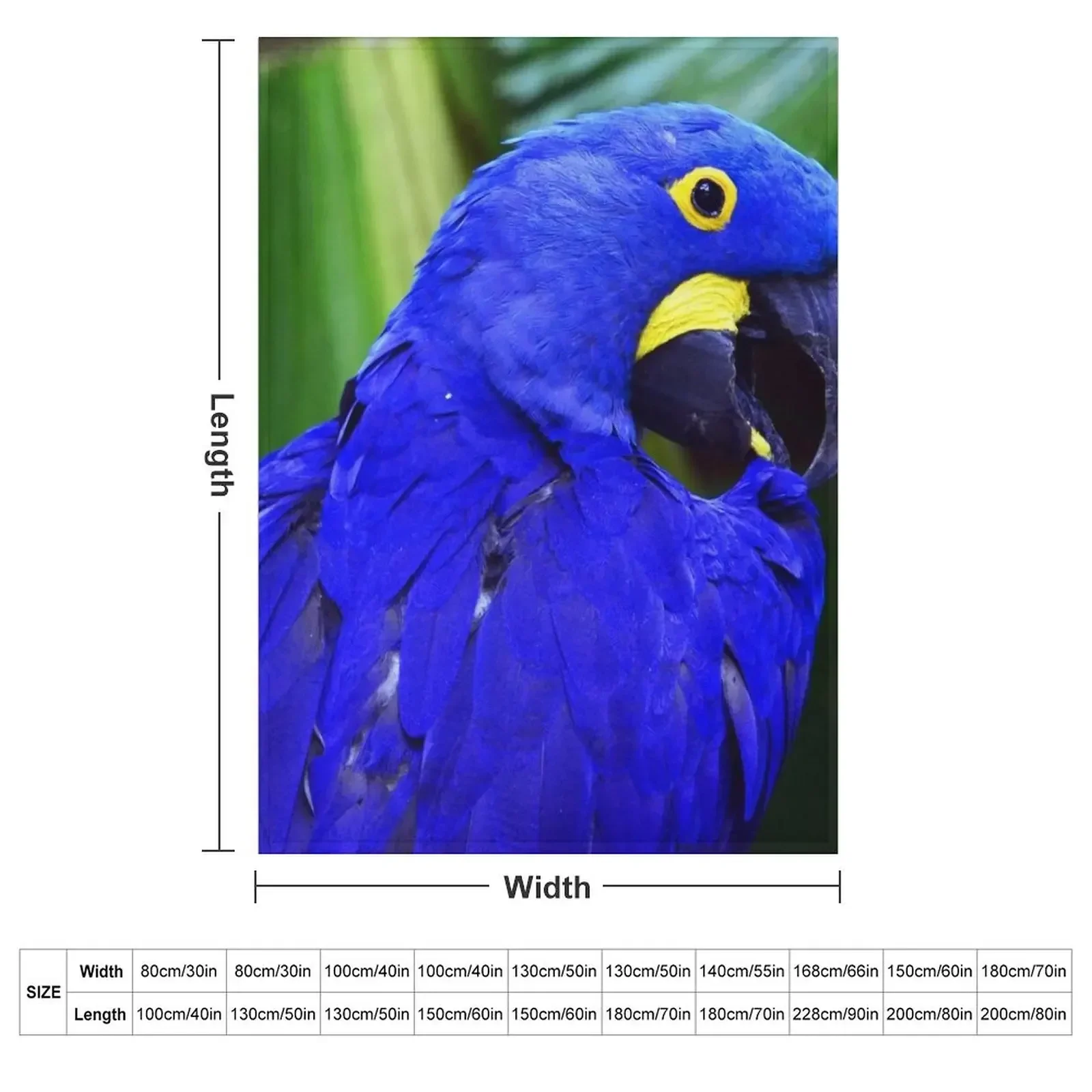 Elegant Hyacinth Macaw Art Photo Throw Blanket Plaid Plaid on the sofa Heavy Stuffeds Blankets