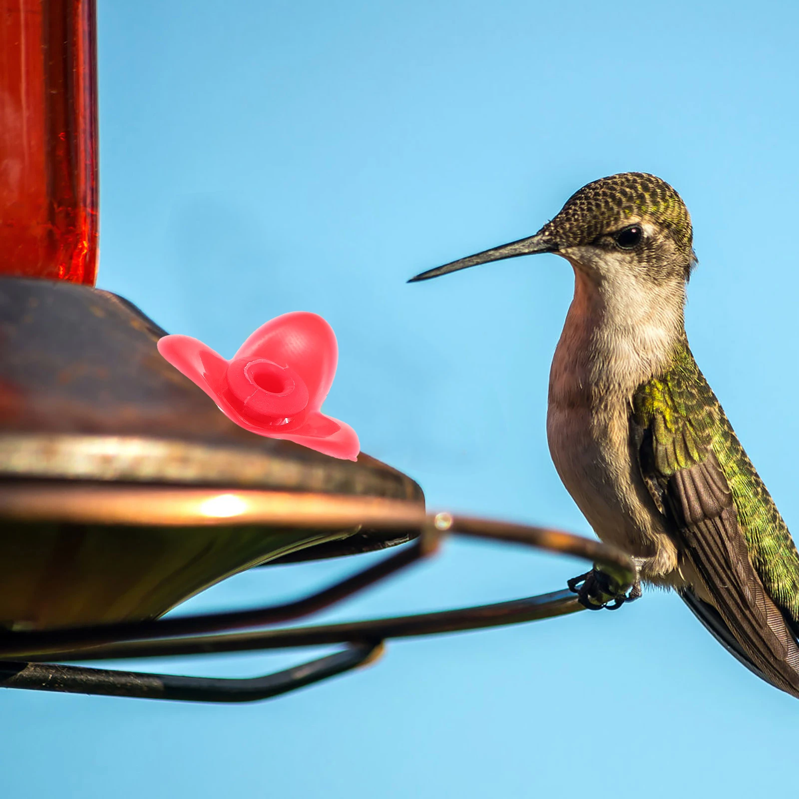 12 قطعة تغذية الطيور الزهور الجميلة زهرة الطنان تغذية لوازم قوية ودائمة جذب الطيور بسهولة تغذية الطيور الطنان