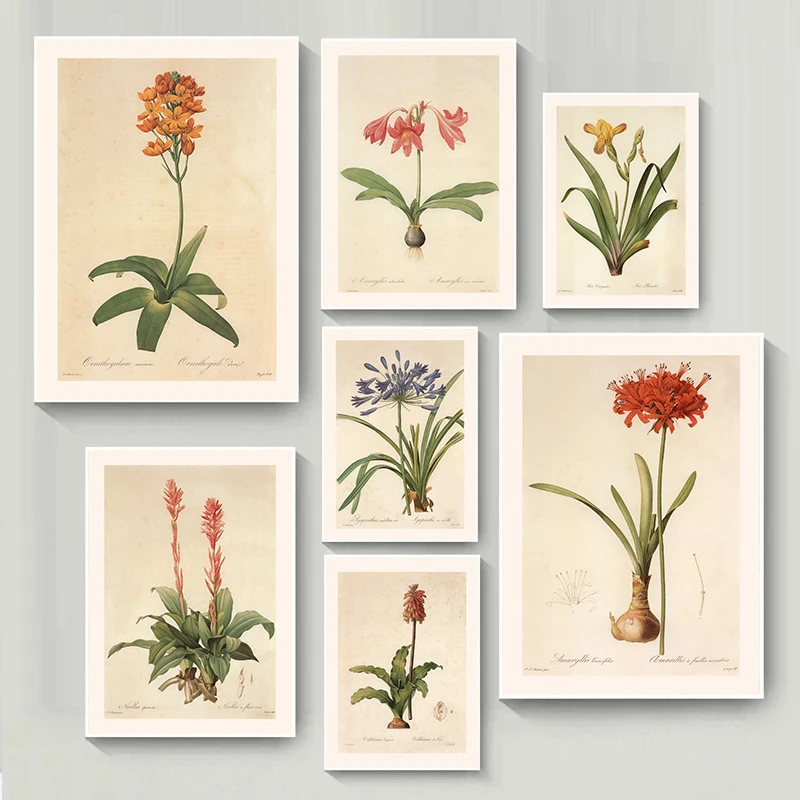 Affiche sur toile vintage avec illustration botanique de plantes et fleurs, art mural esthétique pour la maison