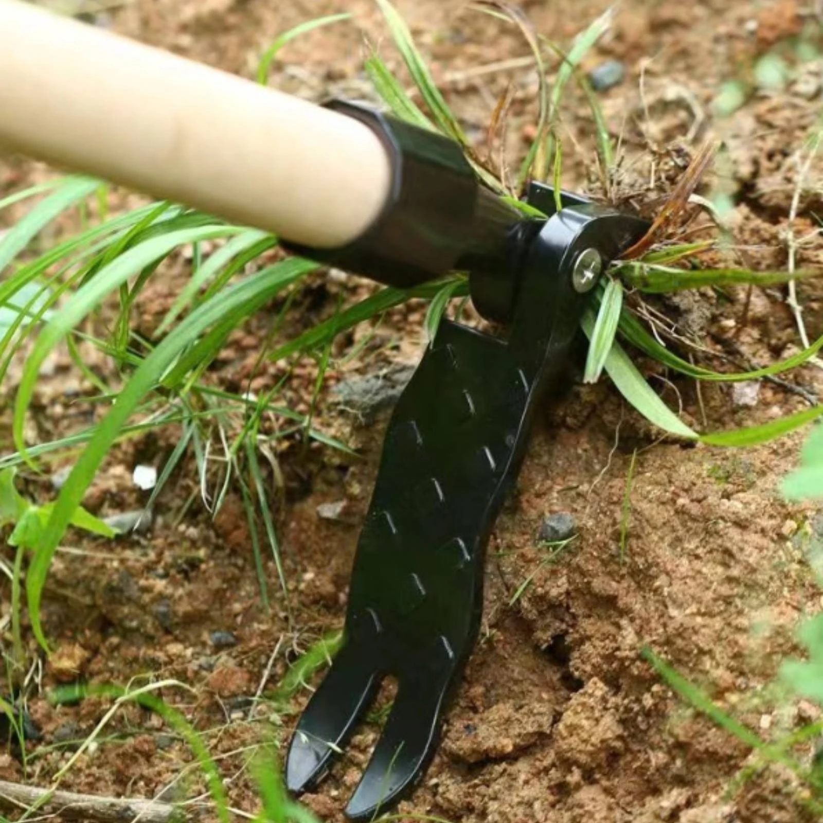 Unwanted Plant Puller Head Stand-up Weeder Head Unwanted Plant Puller with Tines Curved Manual Weeder Rust-Resistant