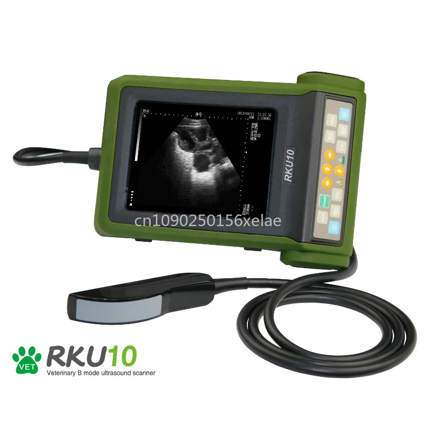 Animal Diagnostic Equipment RKU-10 Veterinary Ultrasound Portable