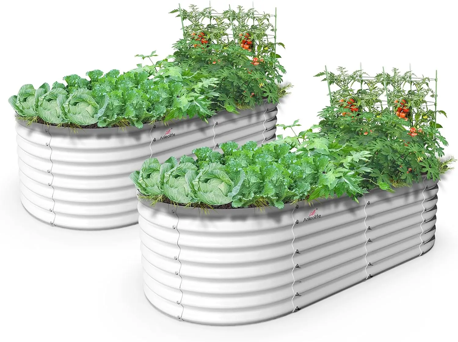 

2 Pcs 6X3X2 ft Oval Large Galvanized Raised Garden Beds Outdoor for Planting Vegetables Flowers Herb, Antique White