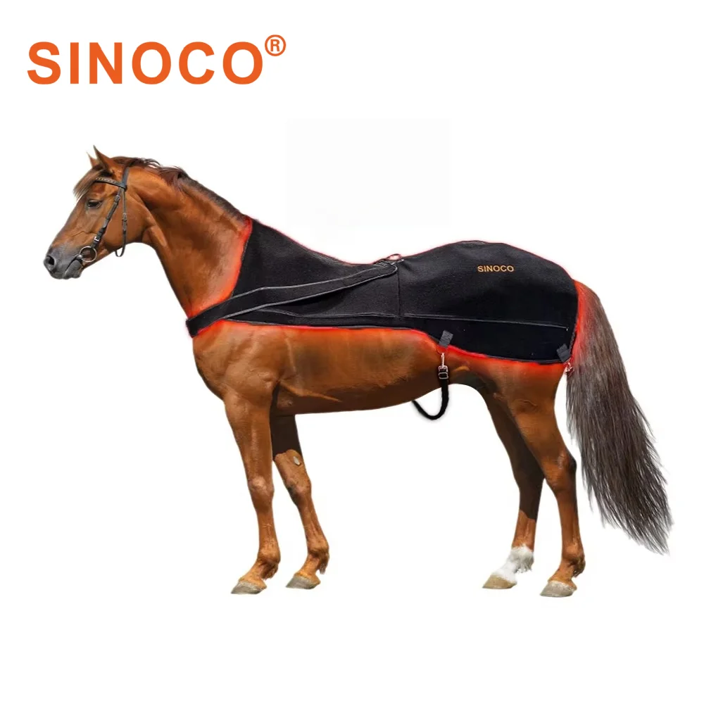 Veterinary Instrument for Horse Back Therapy with Red and Infrared Light Treatment 40W Power Horse Pain Relief