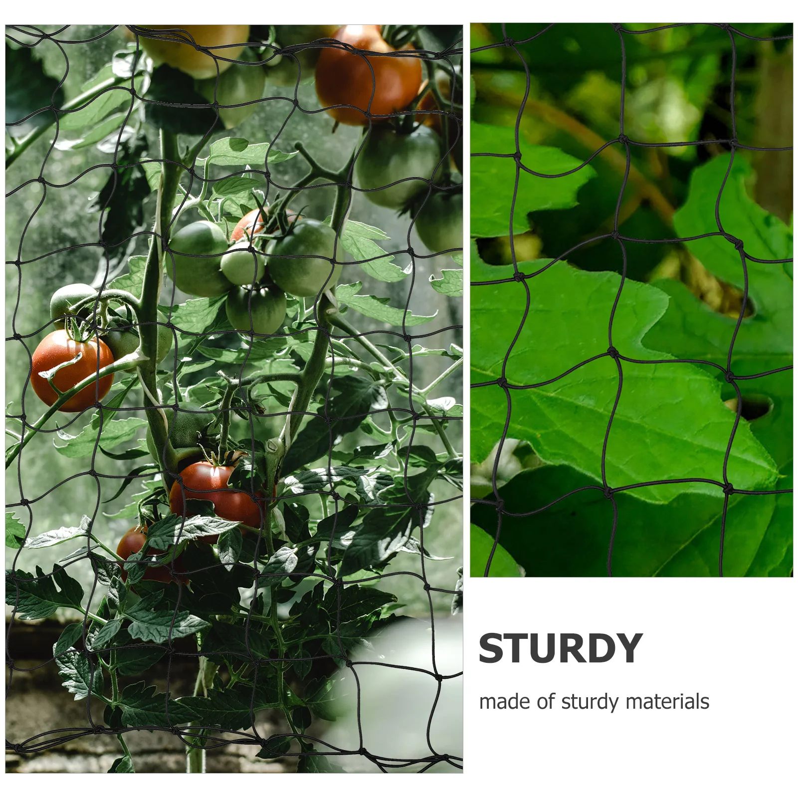 

Pressing Net 90x90CM 81 Holes Plant Supports Garden Climbing Trellis Netting Vine Support Outdoor Balcony Park Gardening