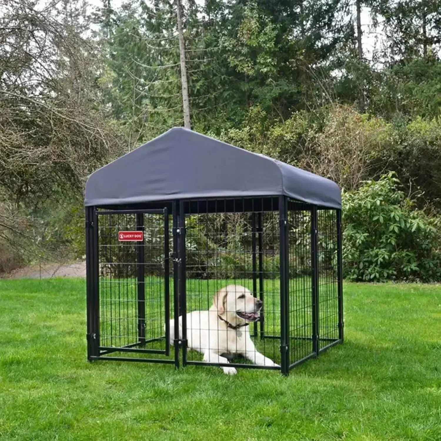 

XMSJ-Sale Stay Series Studio Jr. Kennel – премиальный дизайн, водонепроницаемое покрытие с защитой от УФ-излучения UPF 50+, цельностальная рама, 4 фута (ширина) x 4 фута (длина) x 4 футы 4 дюйма (высота)
