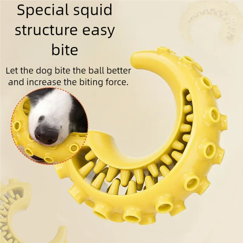 소형 중형견을 위한 TPR 애완견 장난감 물림 방지 개 씹는 장난감 DogTeeth 청소 장난감 애완 동물 용품