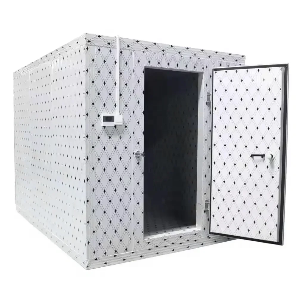 

2*4*2M Cold Room Storage Refrigerator Container with Cooling System 100mm Sandwich Panel Walk in Freezer