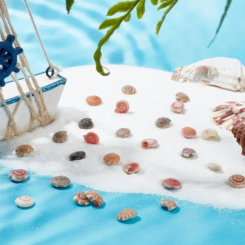 190g Tiny Sea Shells No Hole 190g Colorful Spiral Ocean Beach Seashells Small Turbo Shells Craft Shell Charmd for Resin Party