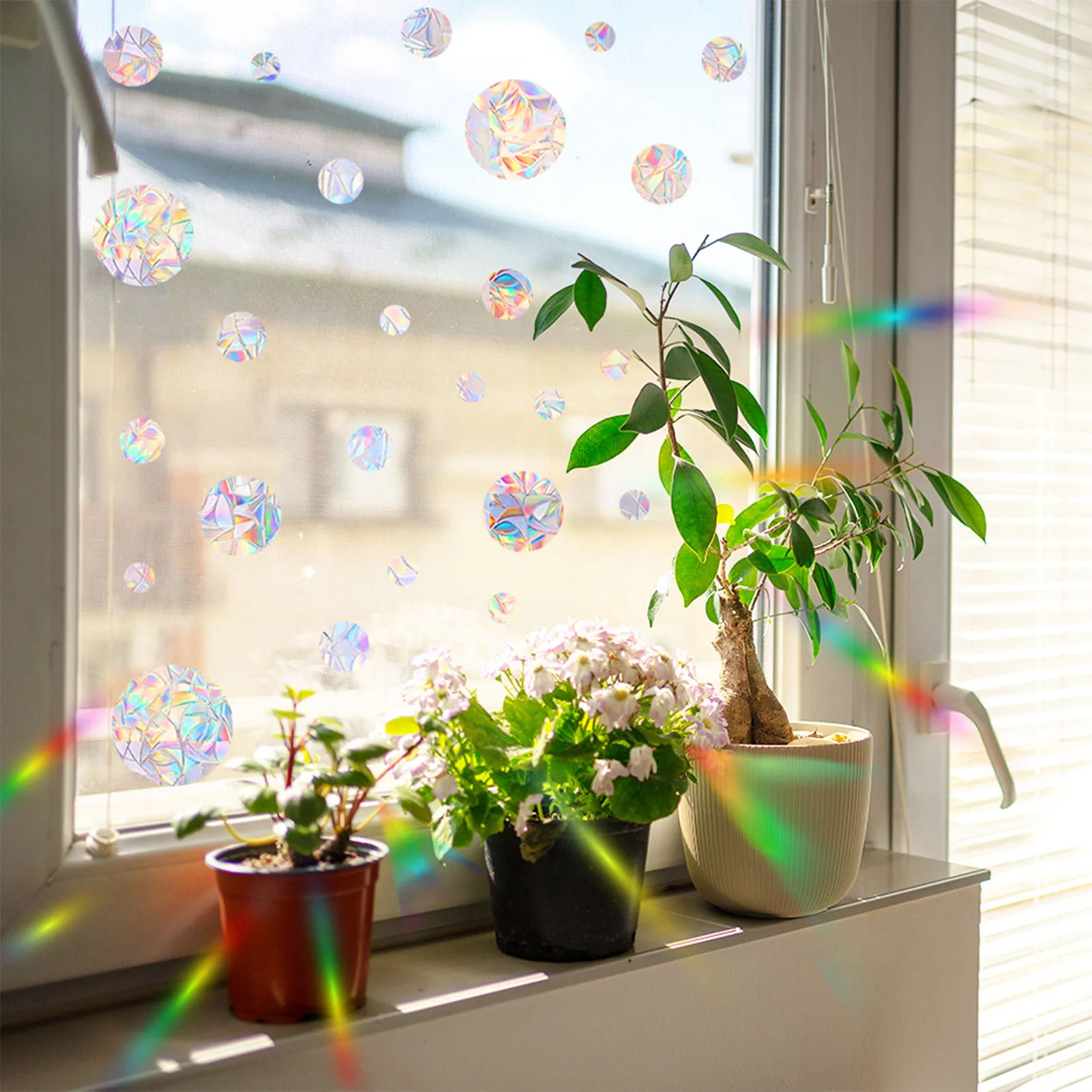 Anti-Collision Circular Window Stickers Reusable Rainbow Window Clings Stop Birds from Hitting Windows CLH@8