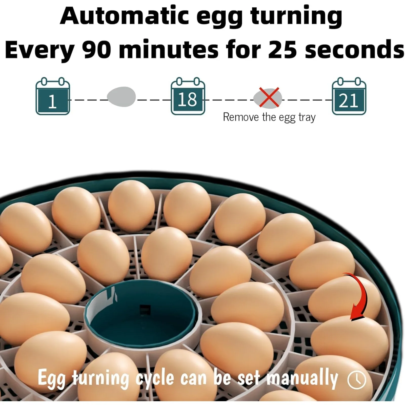 US Egg Incubator, Intelligent Incubator for Chicken Eggs with Automatic Humidity Control and Egg Turning, Temperature control,