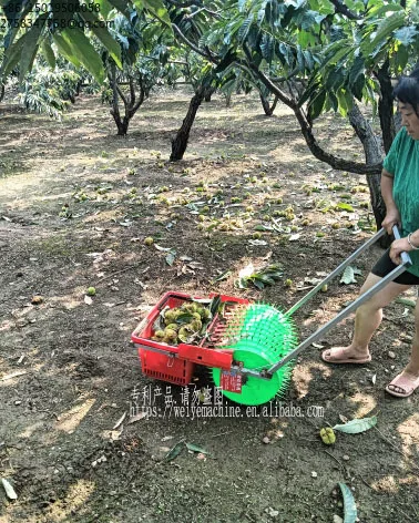 Great Orchard Farm Tool Chestnut Hand Push Walking Olive Harvesting Tool