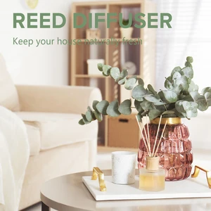 PHATOL 100ML Eucalyptus Essential Oil Lavanda Vanilla Jasmine Lemon Bergamota Aroma Oil for Diffuser Aromatherapy Candle 11 Main Sales Essential Oil - №11