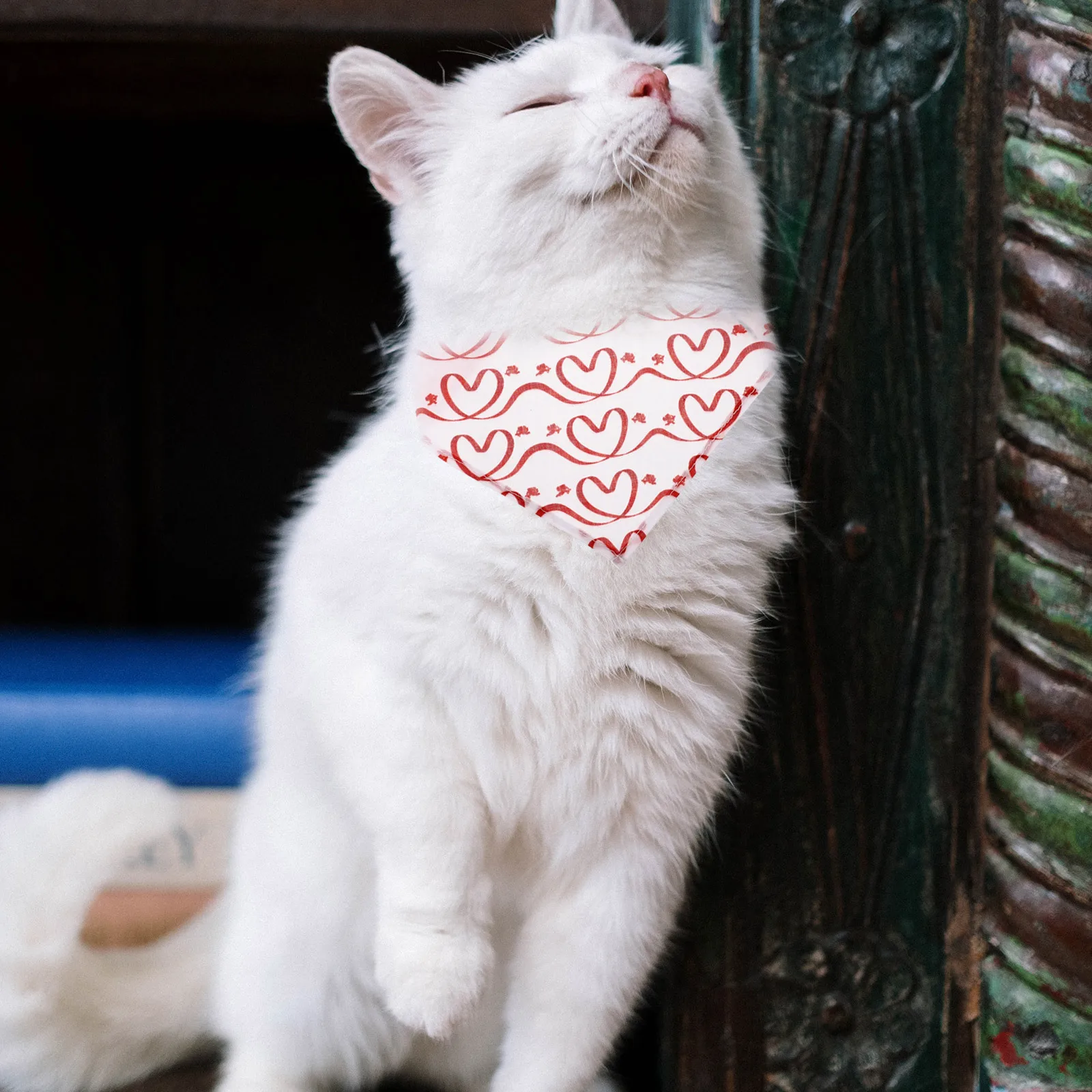 

1Set Pet Hats Set Durable High Quality Saliva Towels for Dogs Cats Fashionable Triangle Scarves Valentine Party Decorative