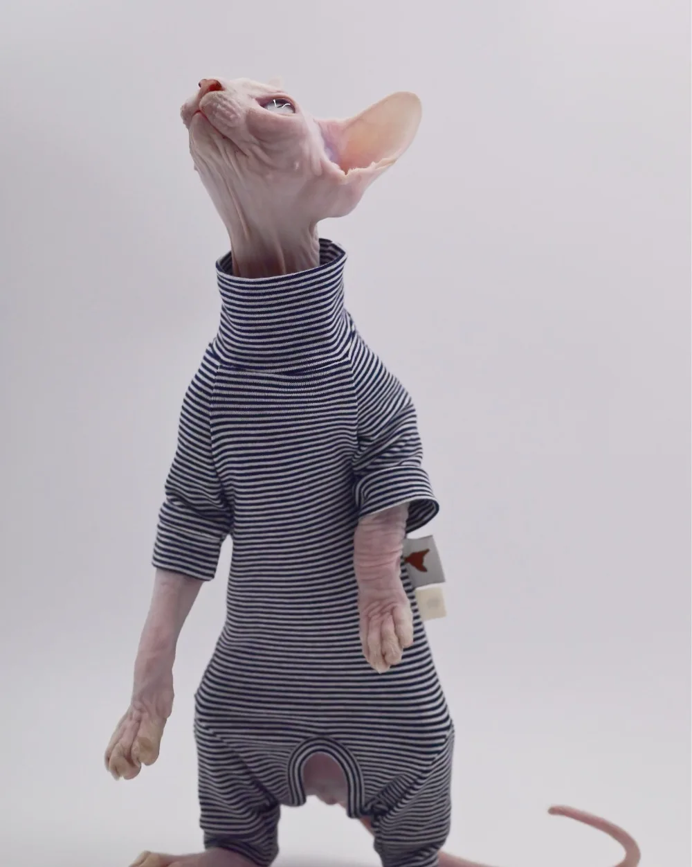 Sphynx Cat Clothes 4 legs Pure Cotton Comfortable Hairless Cat Clothes, Devon Clothes, Kornish Clothes