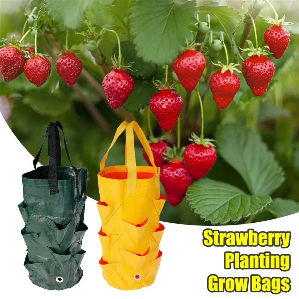 Reusable Planter Pot PE Growing Bags For Vegetable Flower Outdoor Planting Bag Hanging Strawberry Potato Flower Planter Bag