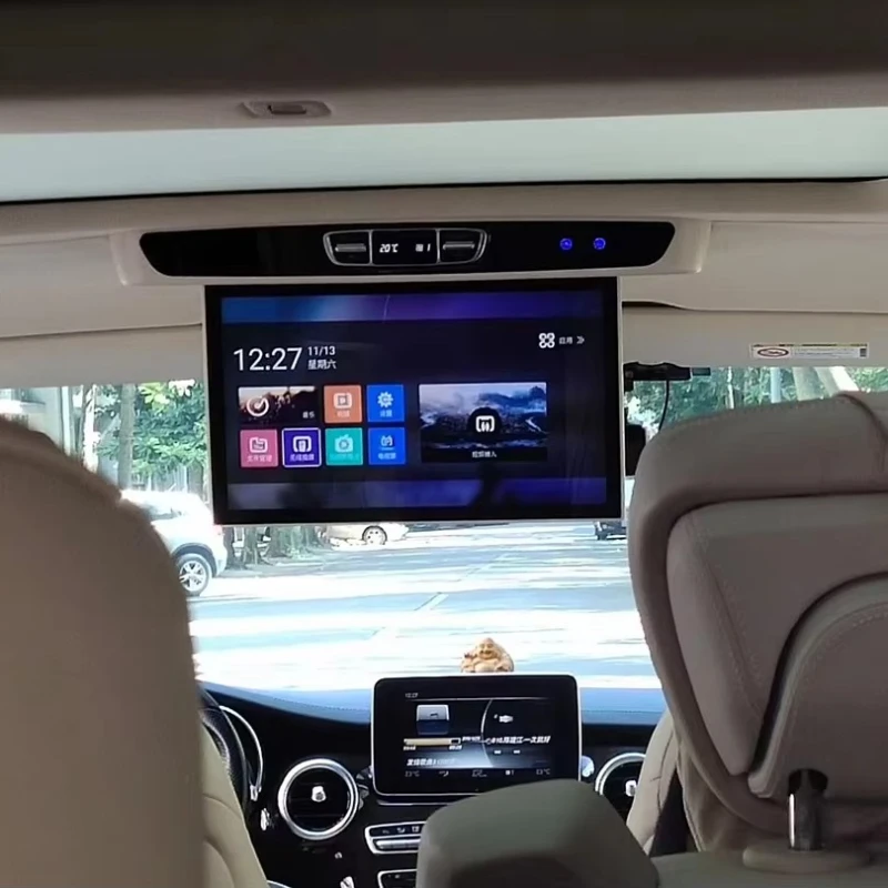 

Limousine RV Motorized Flip Ceiling TV TV