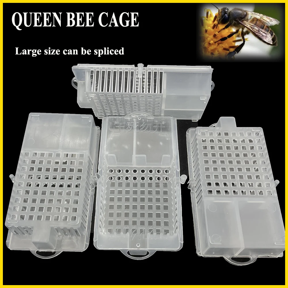 4 adet kraliçe arı mahkum kral kafesi yeni posta büyük çift uzay tokası tipi şeffaf arıcılık araçları malzemeleri