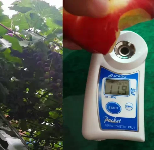 3810 (PAL-1) Digital Pocket Refractometer, 0-53% Brix