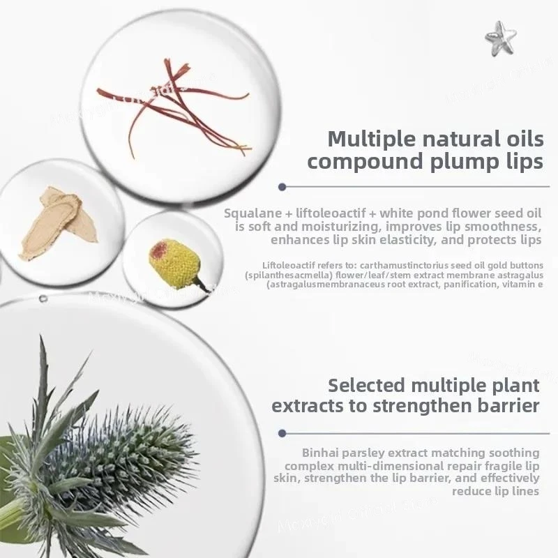 Flower Knows Shell Pearl Collection Lip Glaze Lip Essence Honey Moisturizing Long-lasting Glossy Lip Gloss