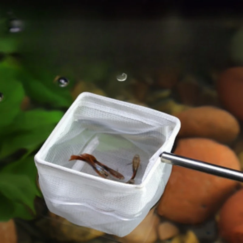 Durable stainless steel stretchable 3D stereoscopic fish and shrimp net - circular and square mesh aquarium accessories, suitabl