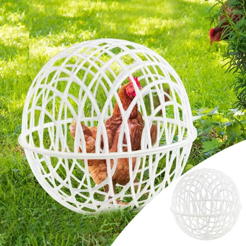 Chicken Rolling Ball Cage Movable 3 Pieces Chicken Orb Ball Cage Pet Safety Chicken Cage Ball-Shaped Chicken Hamster Ball Cage