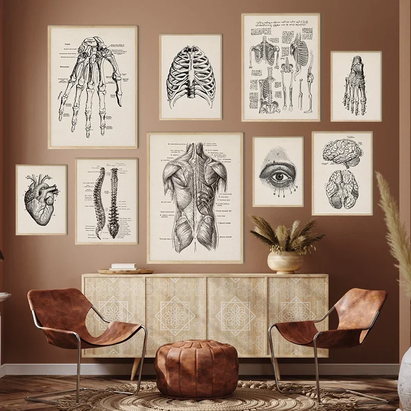 Vintage Human Anatomy Artwork Medical Wall Picture Muscle Skeleton Poster Canvas Art Print Education Hospital Pharmacy Paintings