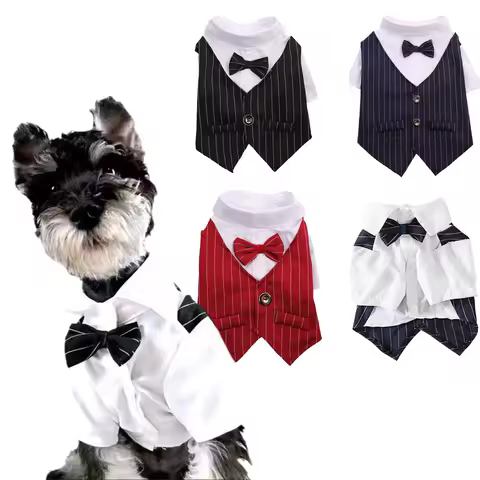 Classic Stripes Tuxedo for Small Dogs Cats Spring Autumn Pet Jacket with Bowknot Gentleman Dog Clothes Schnauzer French Bulldog