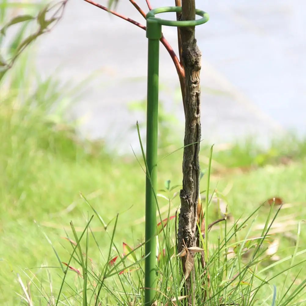 Reliable Plant Stem Supports Glass Fiber Plant Stakes Plant Support Stakes Set for Indoor Outdoor Vegetables for Tomato