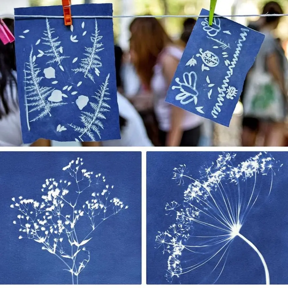 24PCS Natural Fiber Cyanotype Paper Easy Drawing Silhouette Painting Solar Drawing Paper Printed Paper Nature Printing Paper