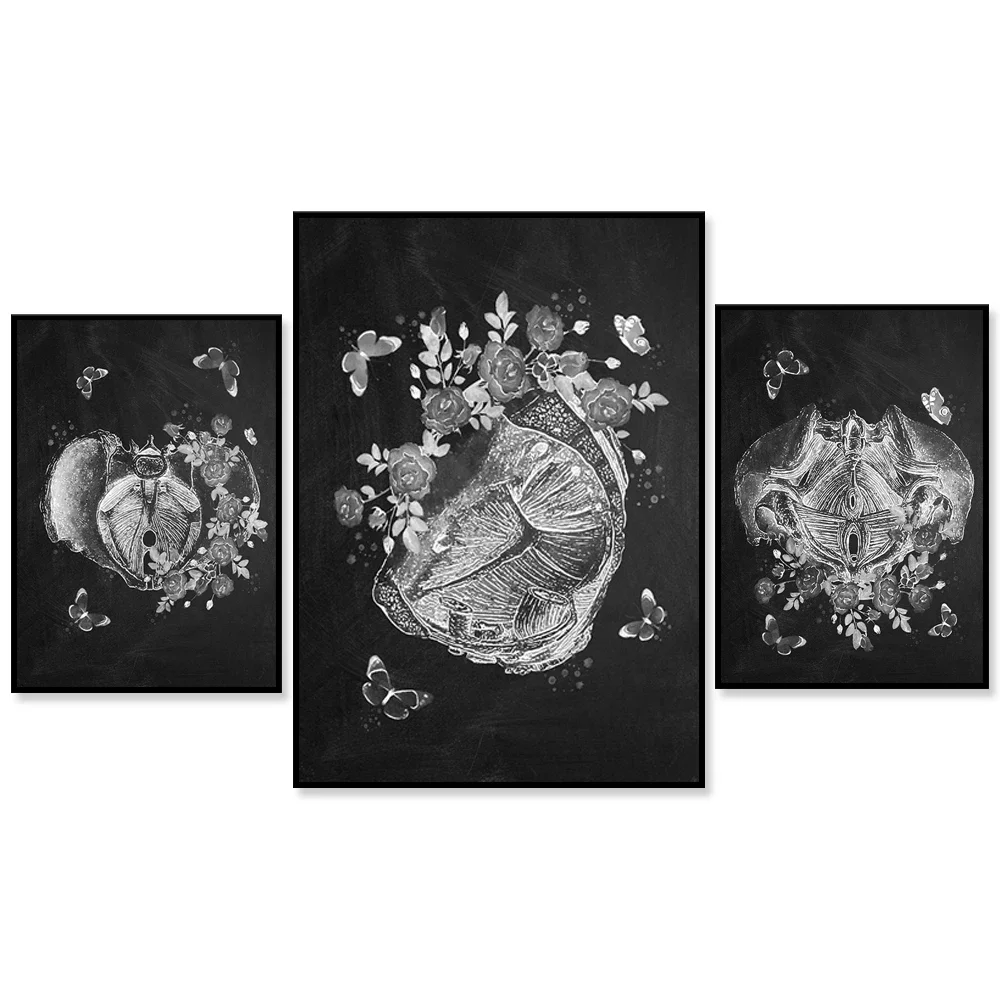Female pelvic anatomy chalkboard art pelvic floor muscles medical poster, gynecologist gift clinic wall decoration maternity gif