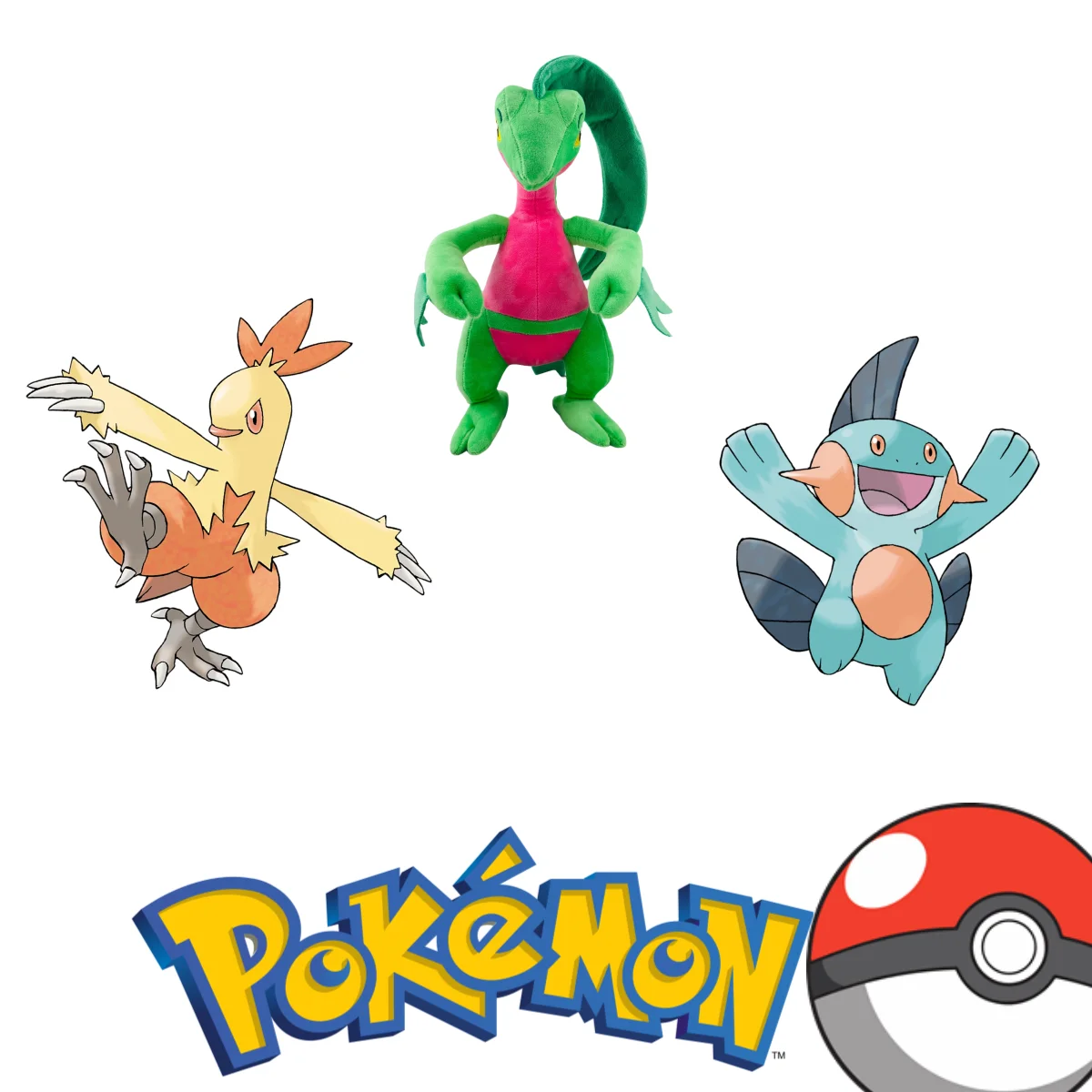 

Pokemon Plush Pikachu Grovyle Doll Combusken Marshtomp Toy Sceptile Blaziken Swampert Torchic Mudkip