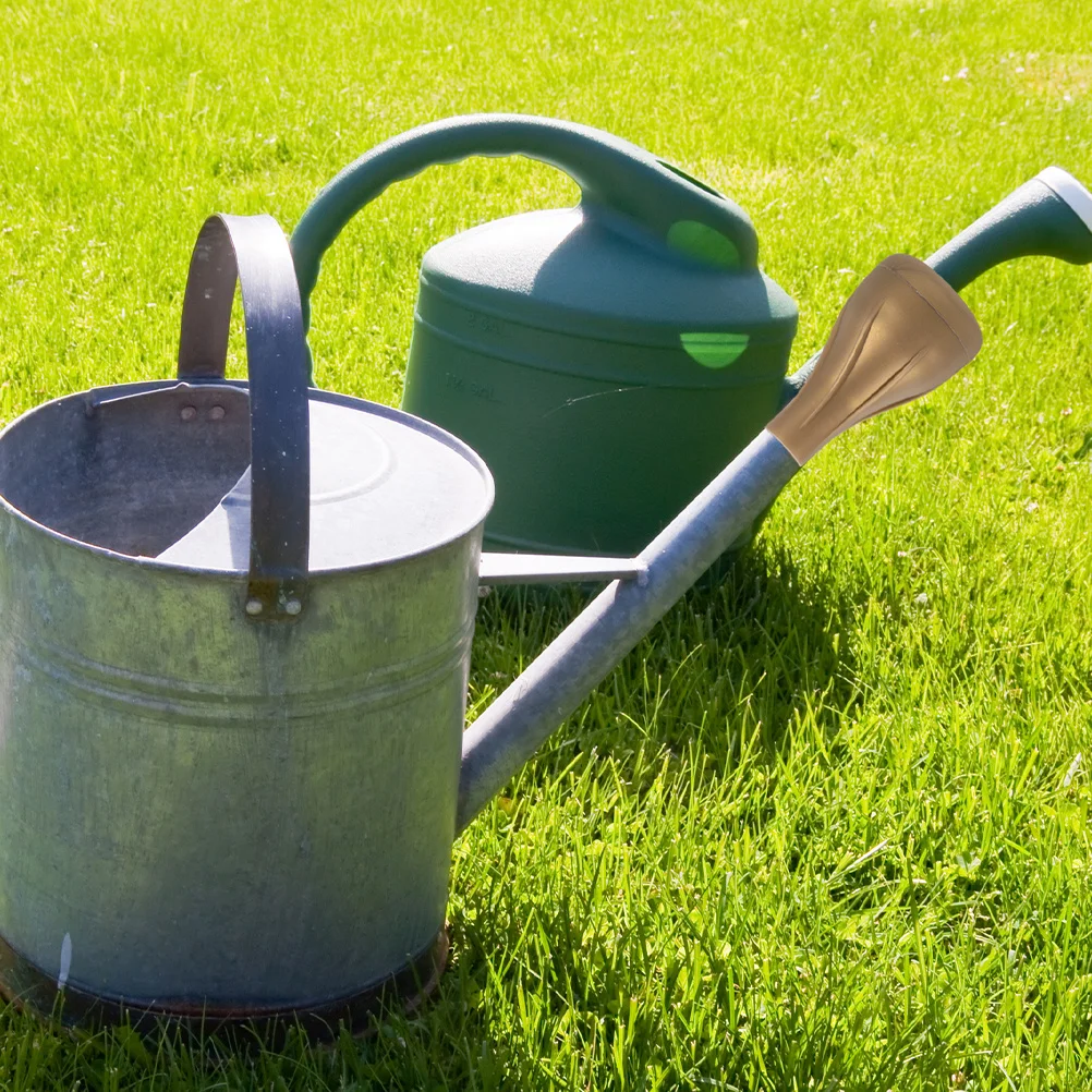 

3Pcs Watering Can Sprinkler Head Universal Design Plastic Garden Watering Nozzle Bonsai Water Can Cap Sprinkling Head