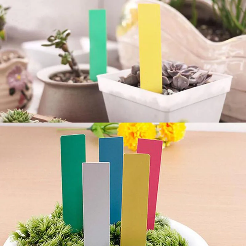 50pcs 100pcs Reusable PVC Plants Labels Hang Tag Tree Fruits Flower Pot Waterproof Markers Sign Garden Tools tree label D2