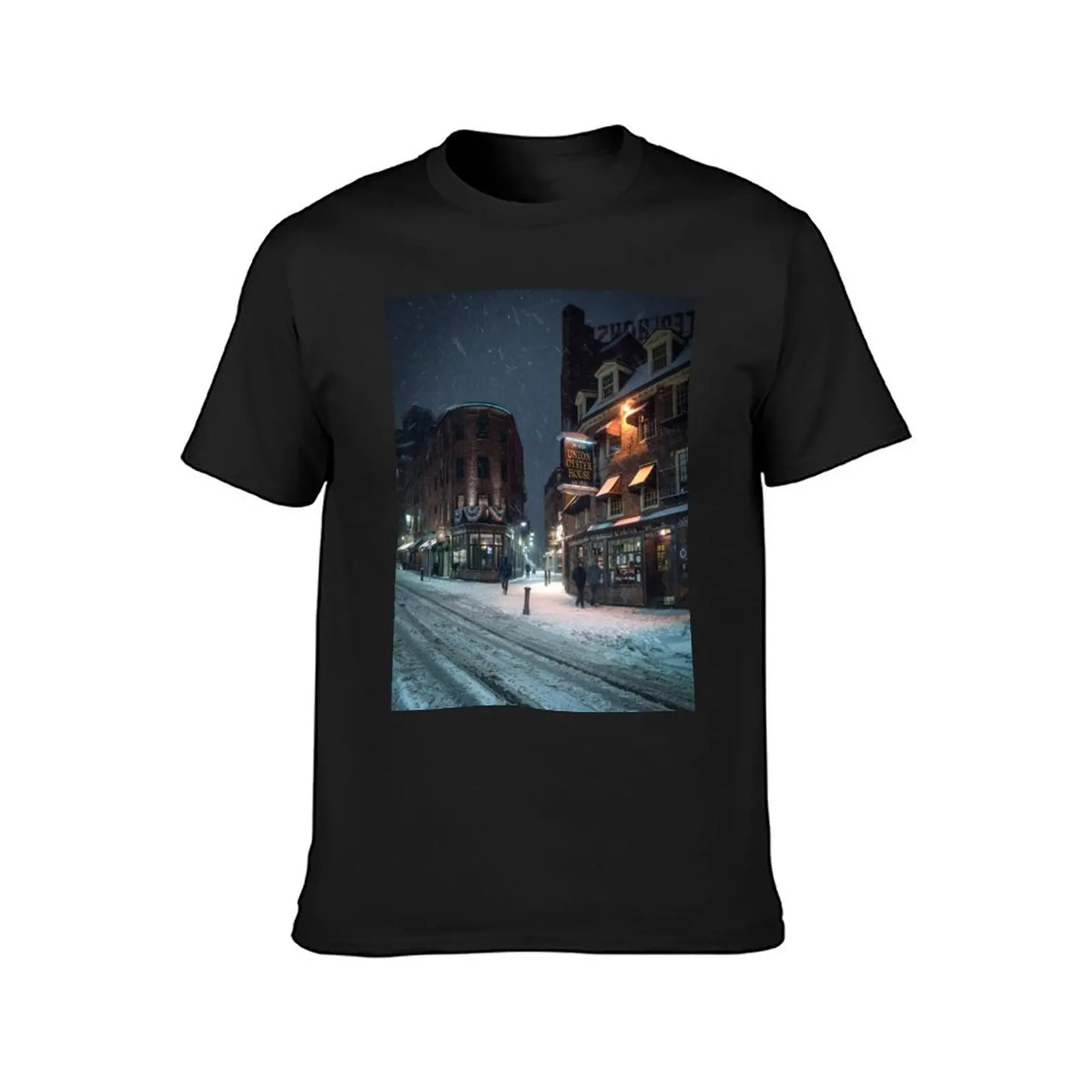 Snow in Boston T-Shirt heavyweights tees korean fashion Aesthetic clothing workout shirts for men