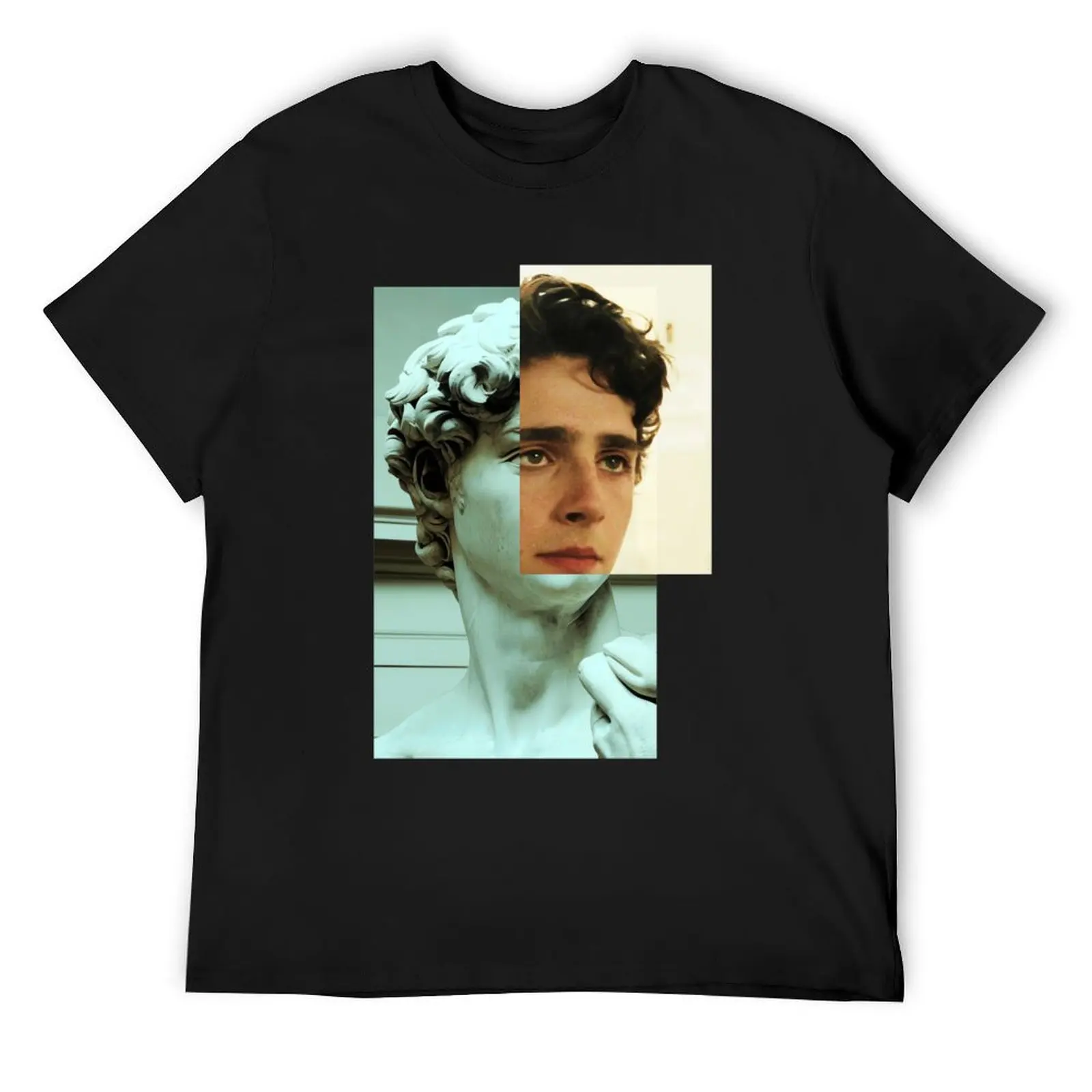 Timothee Chalamet as David Statue T-Shirt T-shirts man anime stuff vintage t shirt men