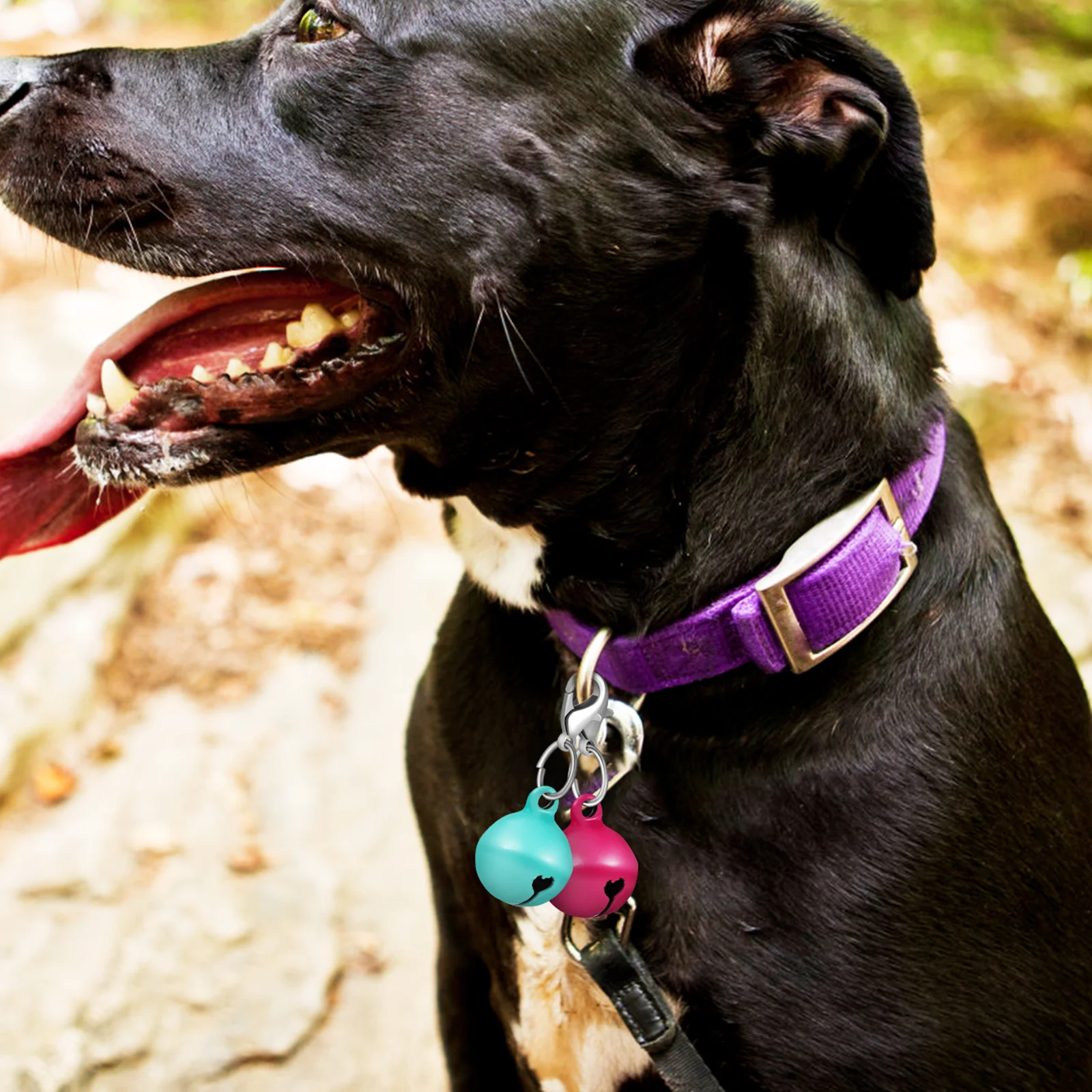 

20 pcs Pet Collar Bells Copper Dog Cat Hanging Bells Decorative Accessories Multi-Function Metal Charms For Puppy Kitten