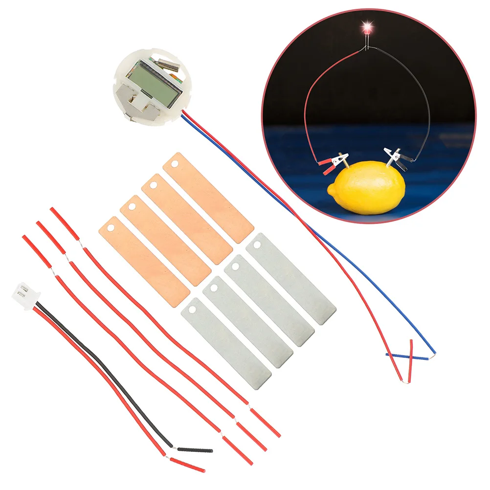 

2 Sets Electronic Fruit Experiment Kit Student Batteries Metal Physics Teaching