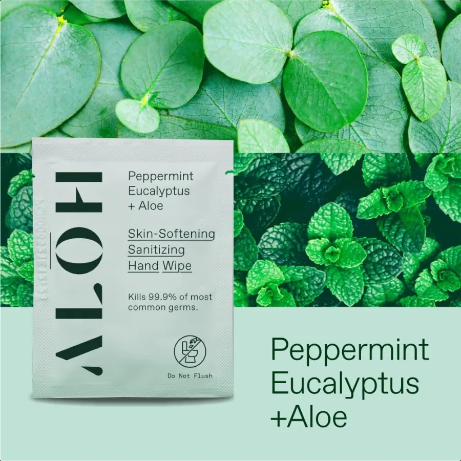 ALH Salviette disinfettanti per le mani ammorbidente per la pelle Eucalipto alla menta piperita + e 4 scatole da 20 salviette confezionate singolarmente (80 salviette)