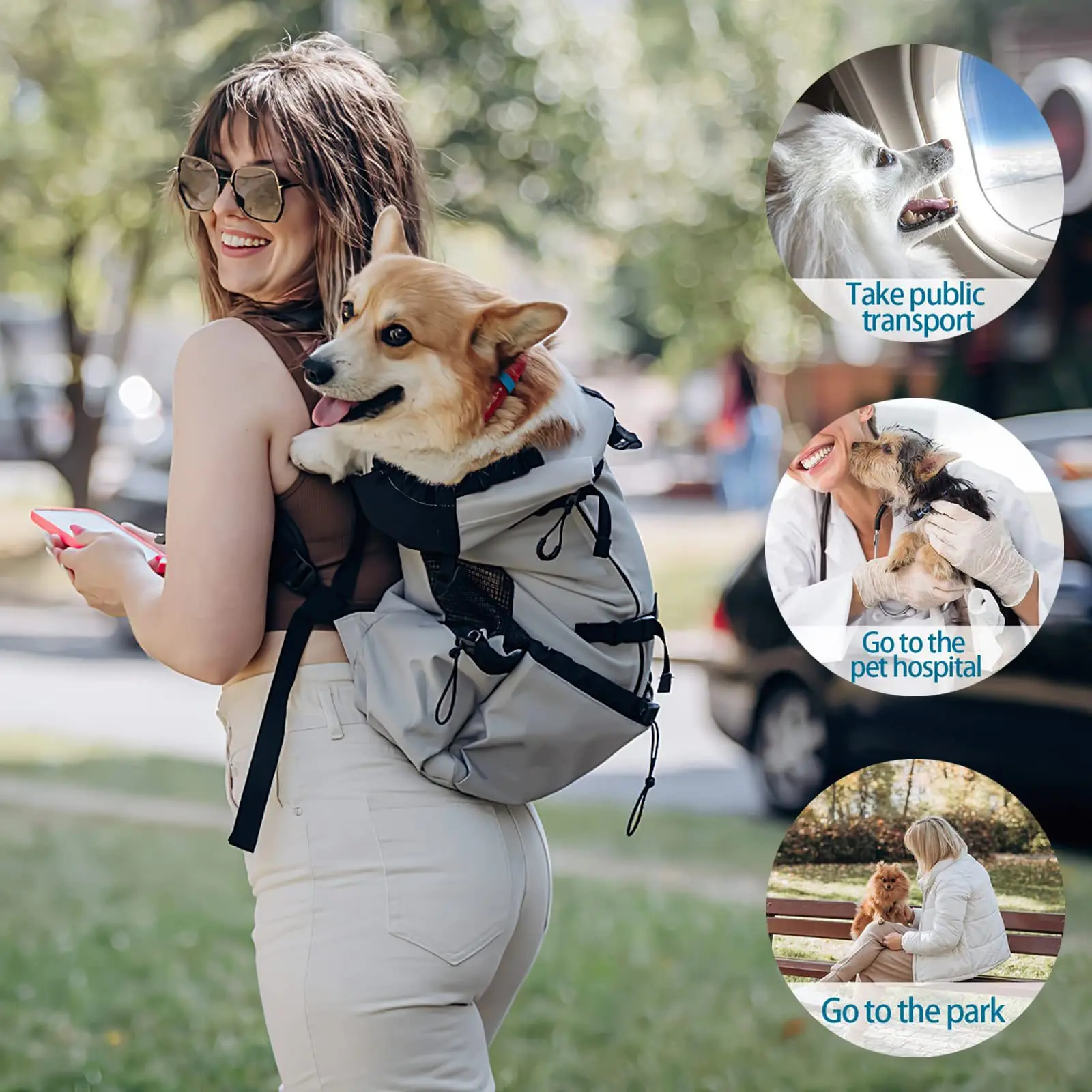 Mochila de ventilación para transportar perros durante las excursiones, transpirable, para bicicleta, motocicleta y actividades al aire libre, con bolsa de malla. Mochila para perros, ideal para senderismo.